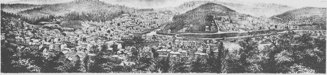 Panoramic 1873 illustration of clustered Shamokin buildings, rail corridors, open land, and surrounding hills